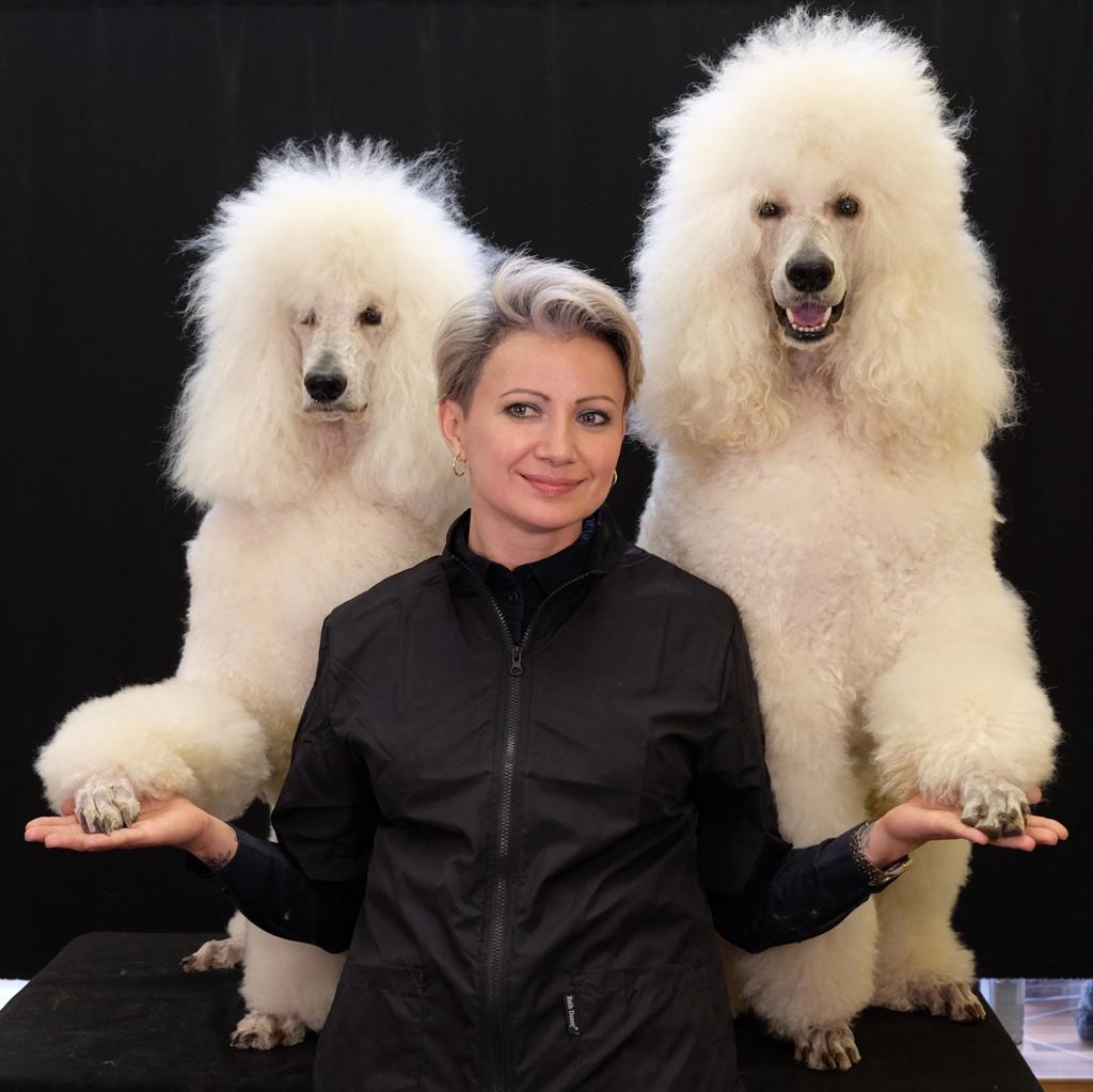 Gute Hundesalon Miss Cler